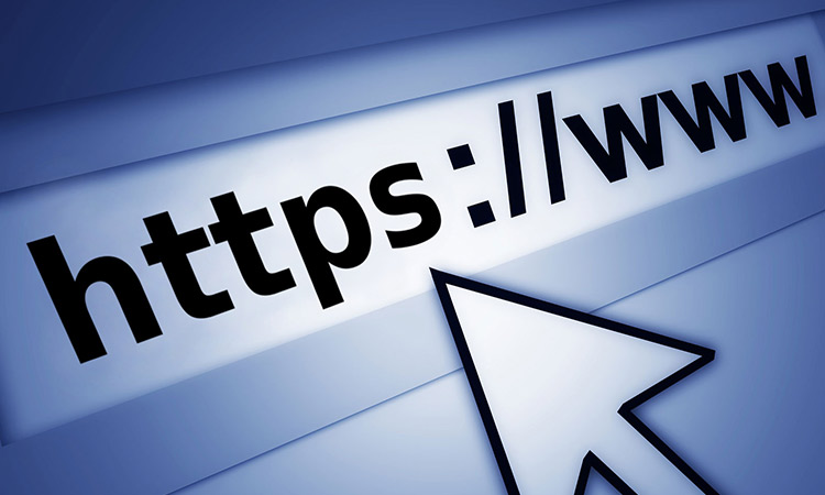 Website Icon