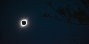 Lunar Eclipse 2024