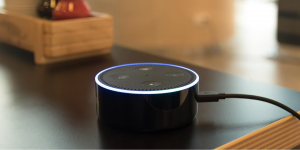 Funny things to say to Alexa.