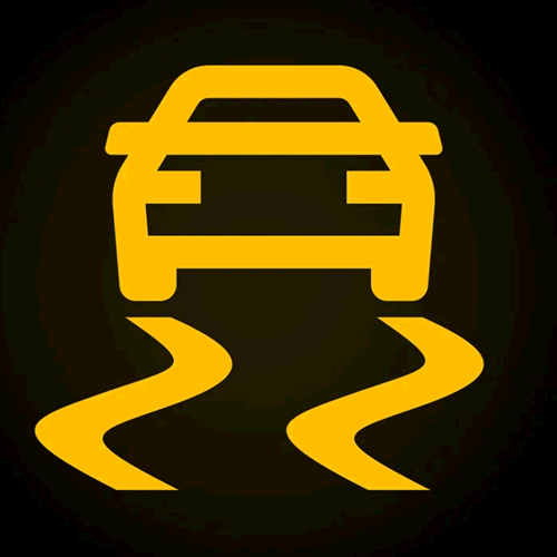 ESP Warning Light