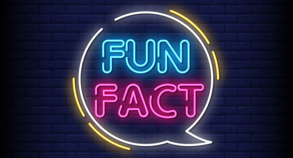 Internet Fun Facts