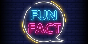 Internet Fun Facts