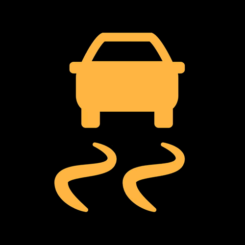 Traction Control Light
