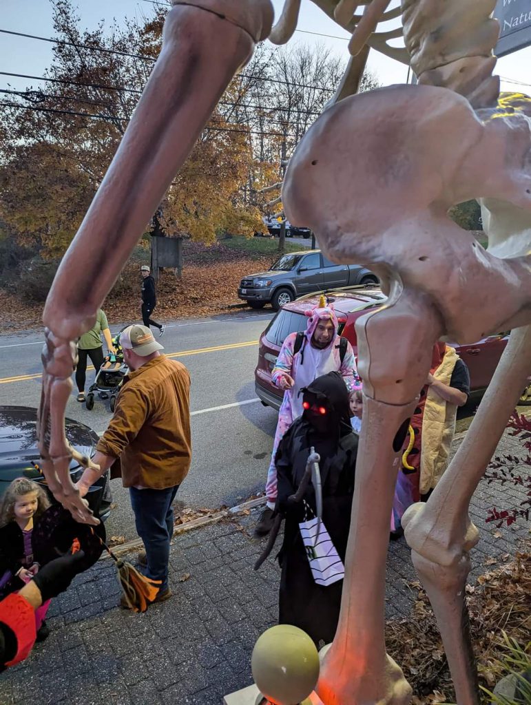 Halloween 2024 | Langer Enterprises LLC