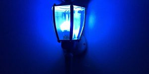 Blue Light on the porch