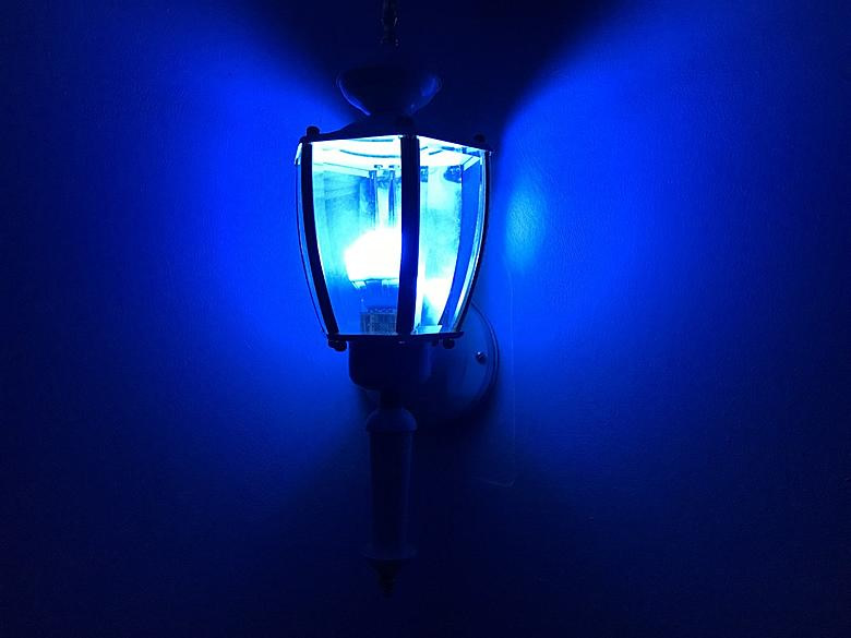 Blue Light on the porch