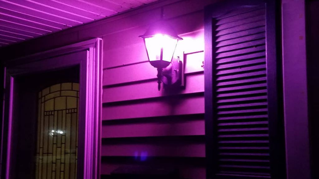 Pink Bulb on the porch