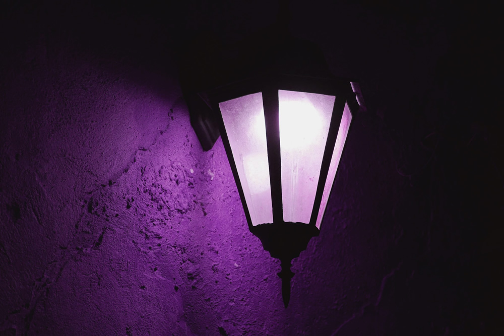 Purple Light on the porch